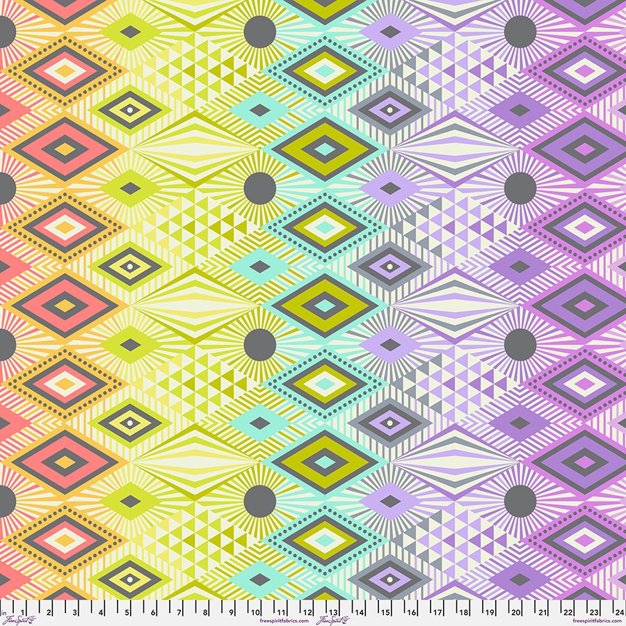 True Colors Minky by Tula Pink