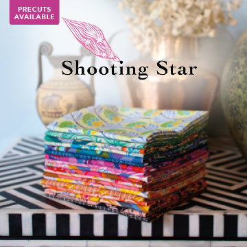 Shooting Star by Anna Maria