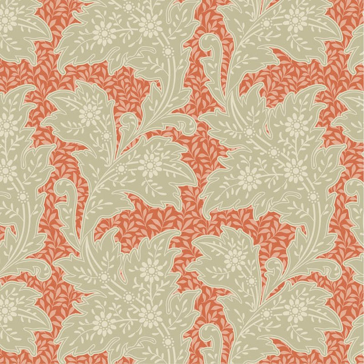 Songbird - Stella Coral  -  By Tilda
