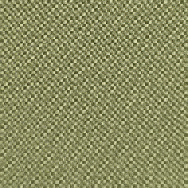 Pine - Chambray Basics