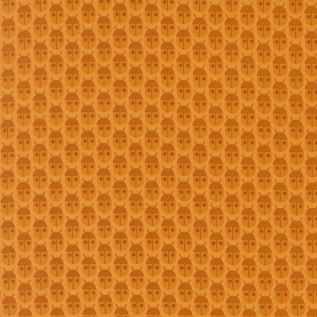 Little Bugs - Spice - Popcorn by Elizabeth Hartman
