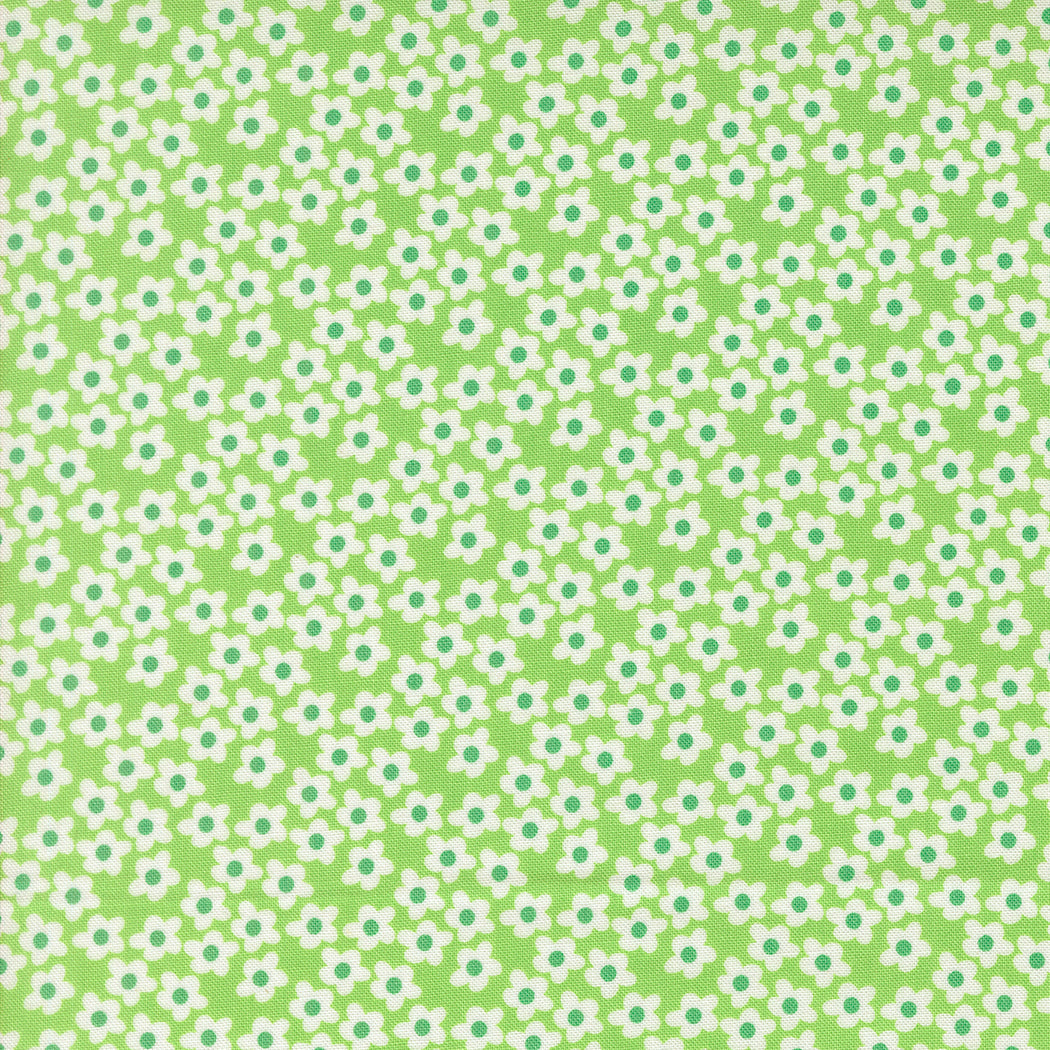 Popcorn Flowers - Mint - Popcorn by Elizabeth Hartman