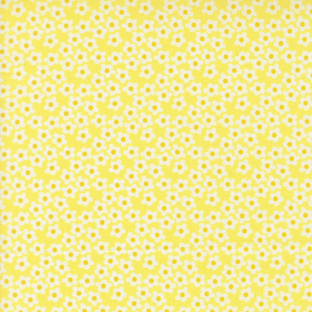Popcorn Flowers - Sunshine - Popcorn by Elizabeth Hartman