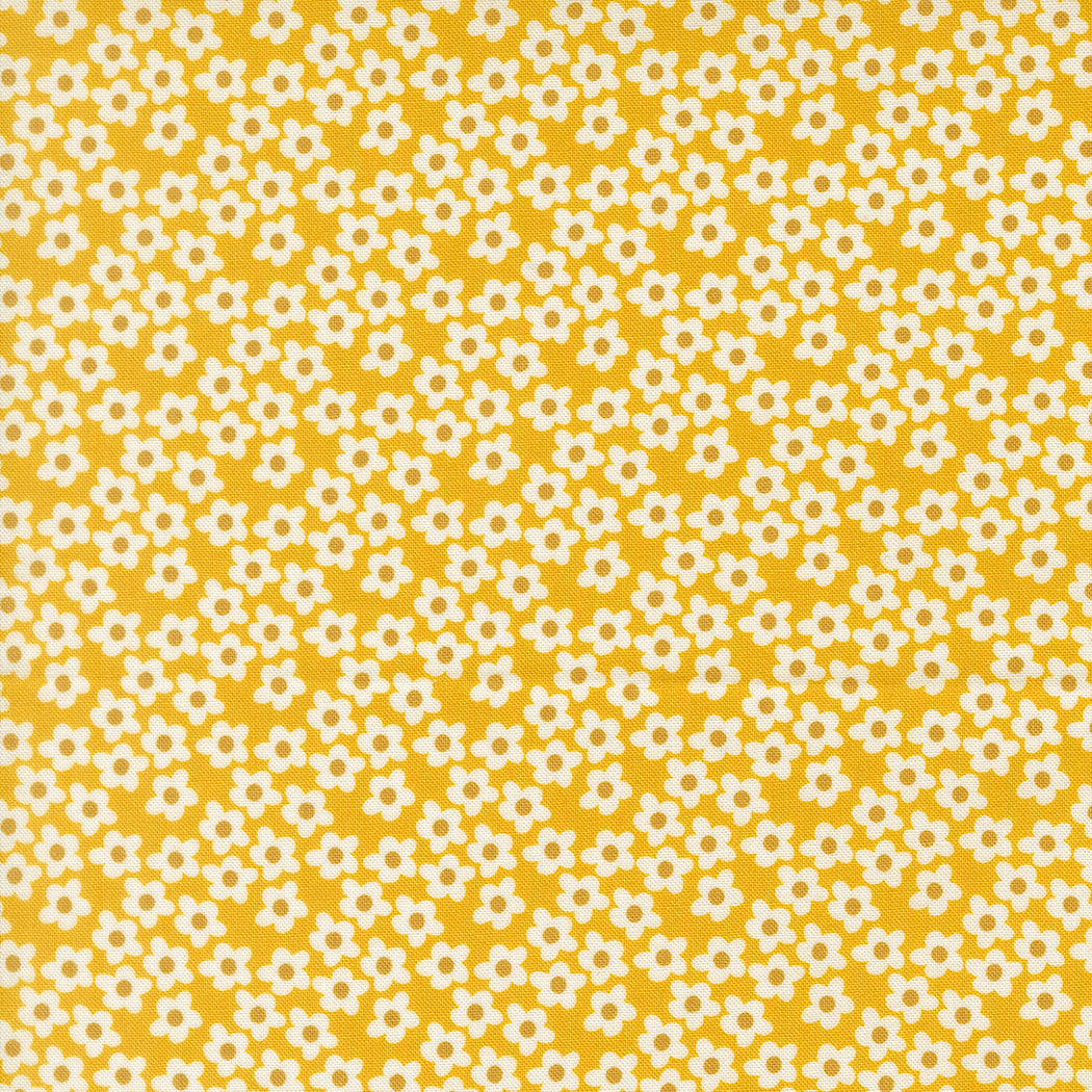 Popcorn Flowers - Orange - Popcorn by Elizabeth Hartman