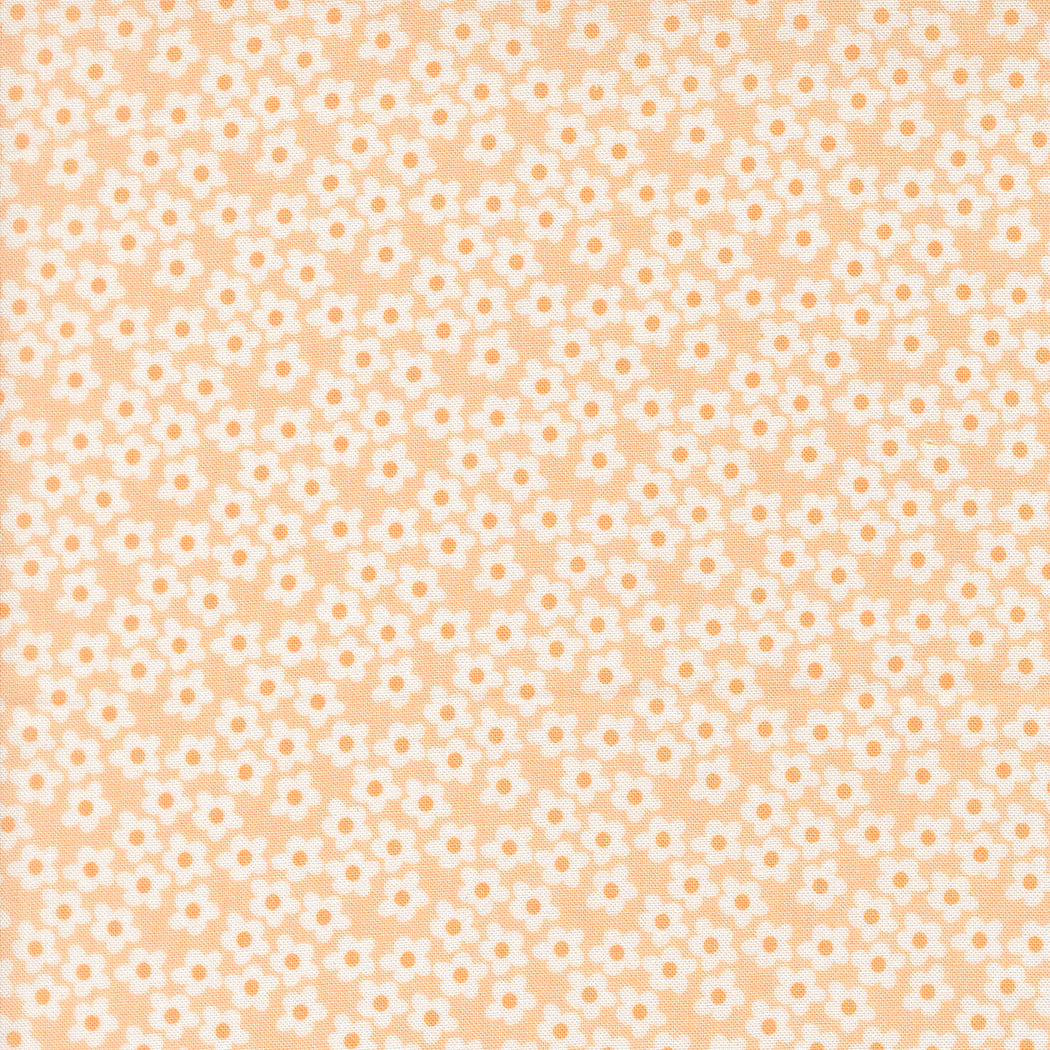 Popcorn Flowers - Peach - Popcorn by Elizabeth Hartman
