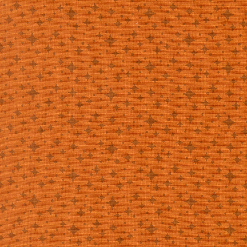 Starlight - Longhorn - Popcorn by Elizabeth Hartman