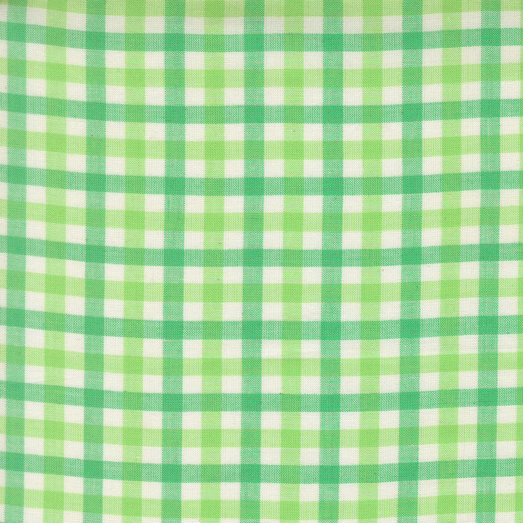 Plaids - Mint - Popcorn Wovens by Elizabeth Hartman
