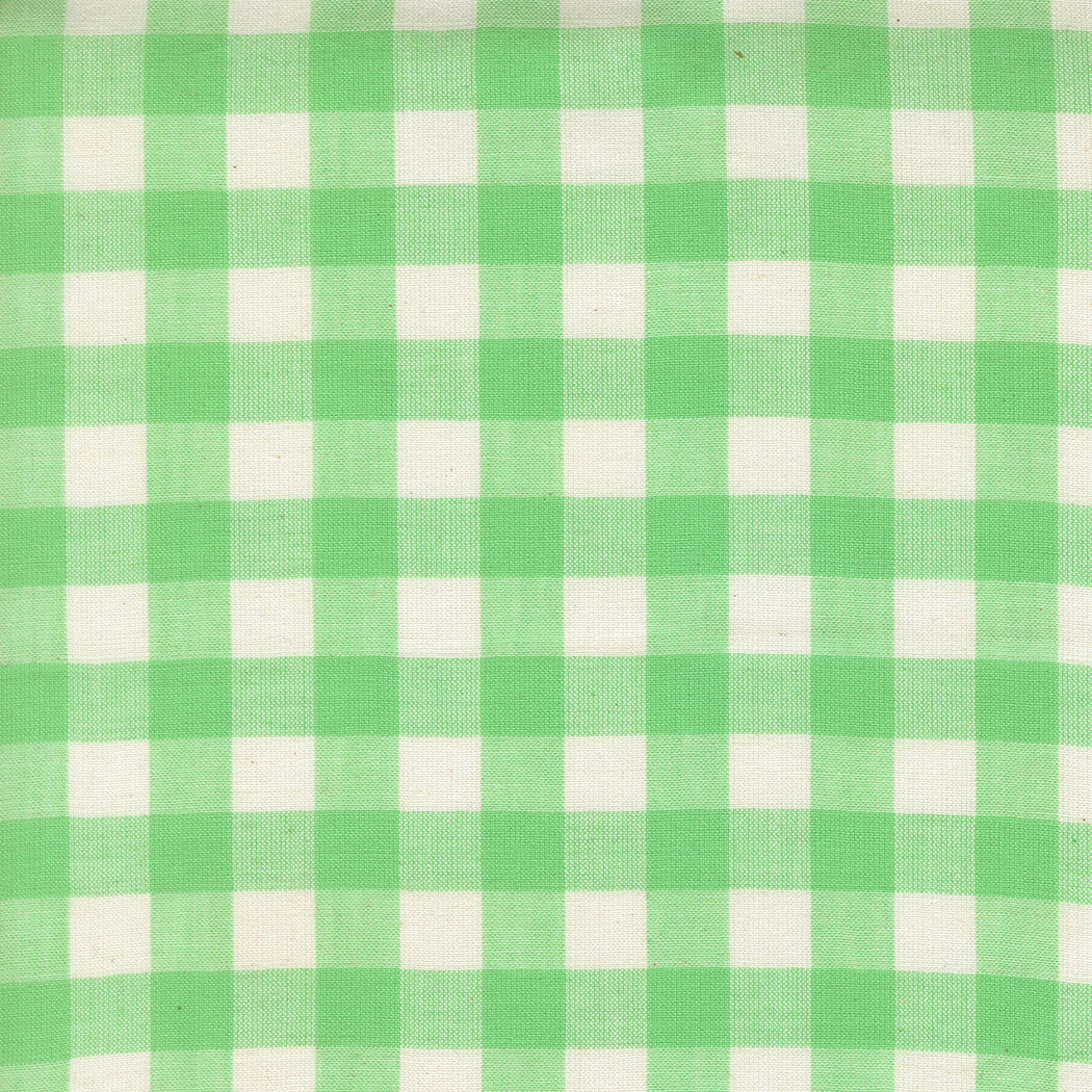 Checks - Mint - Popcorn Wovens by Elizabeth Hartman