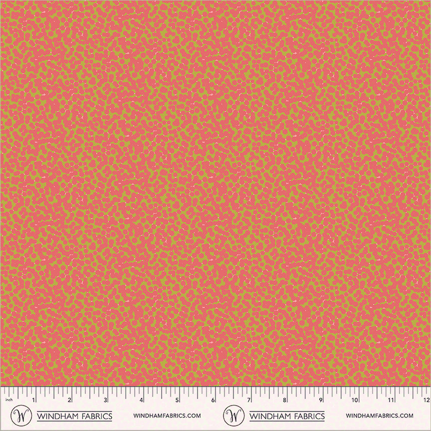 Kimberly - Coral - Best Day Ever