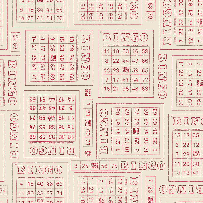 Bingo - Schoolhouse - Family Reunion