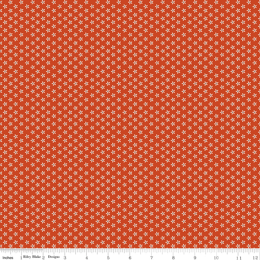 Tiny Daisy - Rusty - Pumpkin & Licorice