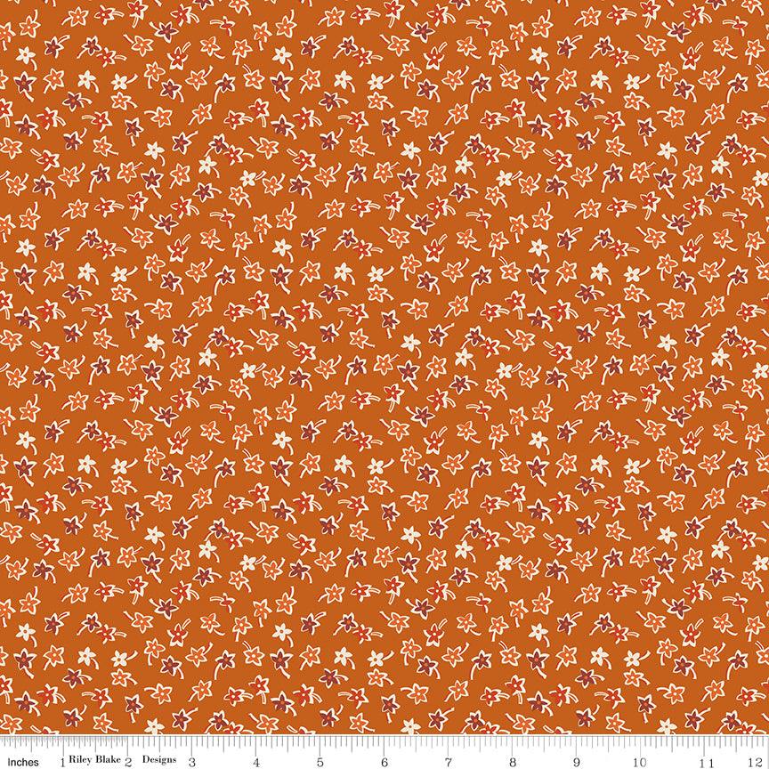 Star Flowers - Amber - Pumpkin & Licorice