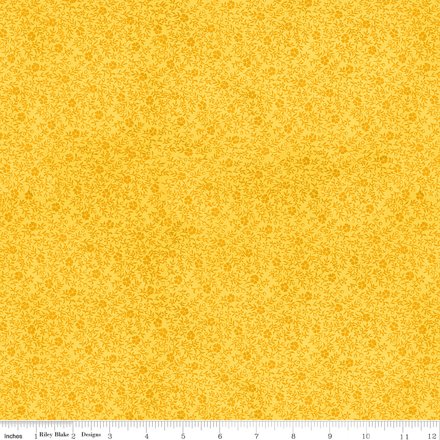 Inside Cover - Yellow - Good Book Basics