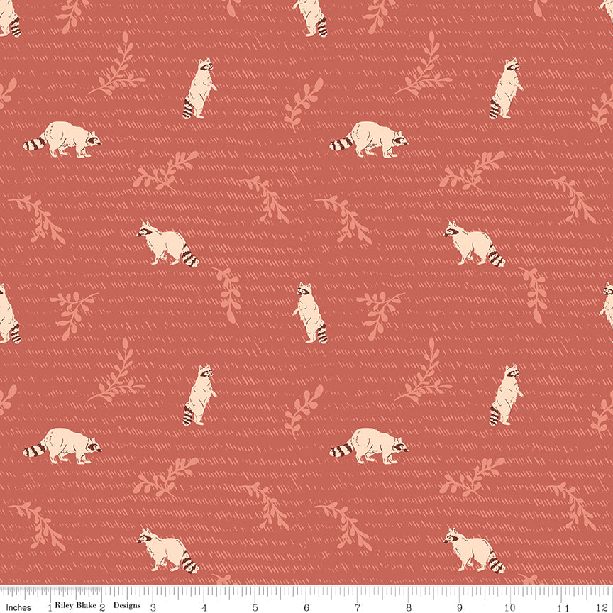 Raccoons - Warm - Aspen Lake