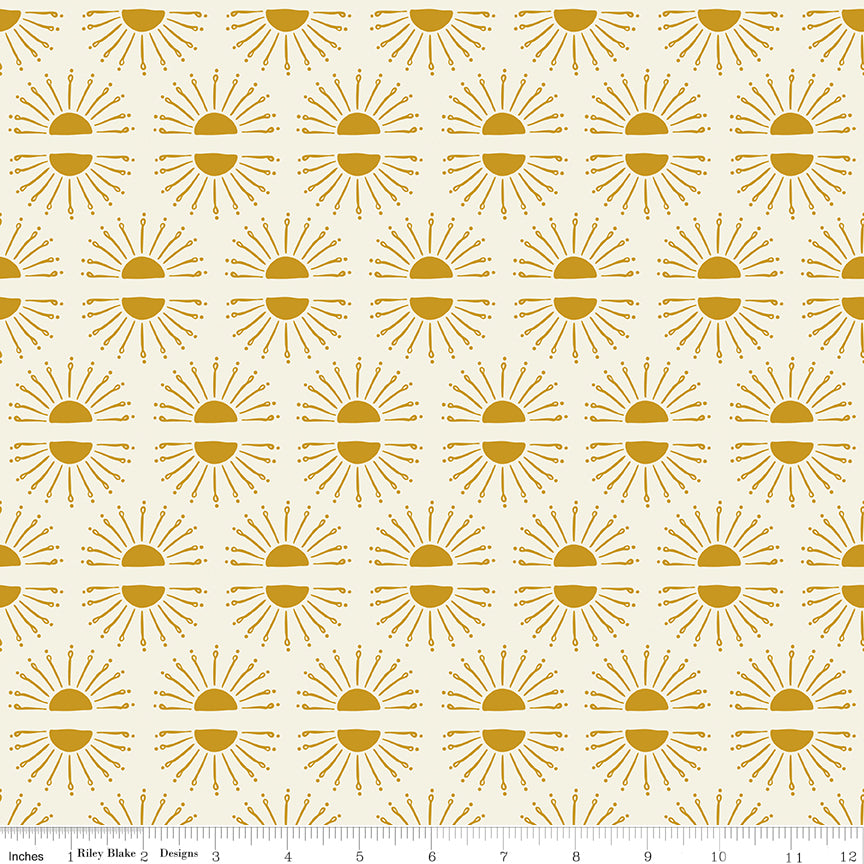Suns - Warm - Aspen Lake