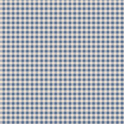 Creating Memories Woven- Gingham Blue by Tilda