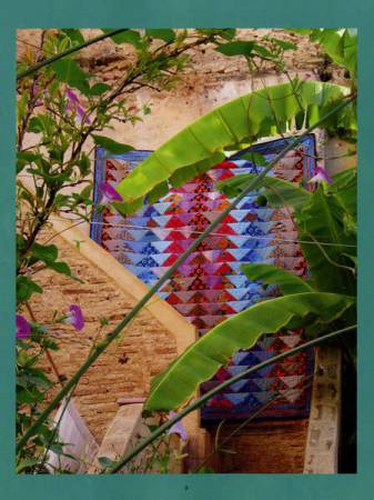 Quilts In Morocco by Kaffe Fassett